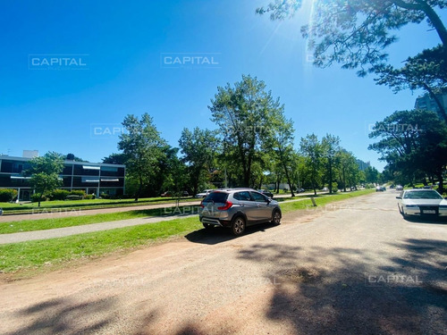 Imagen 5 de 6 de Lote En Venta Sobre Roosevelt - Punta Del Este Cantegril