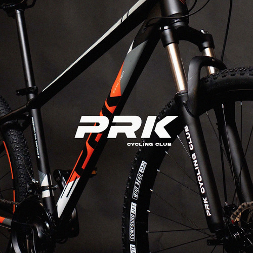 Mountain Bike Trigger R29 21v