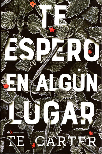 Te Espero En Algun Lugar - T.e. Carter