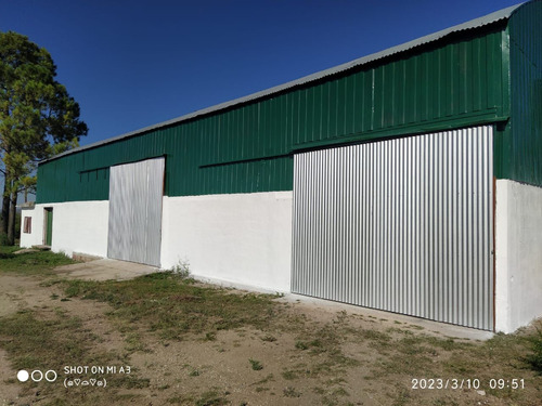 Imagen 9 de 10 de ¡imperdible! Galpón Depósito 500 M2 Alquiler En Villa Cura Brochero
