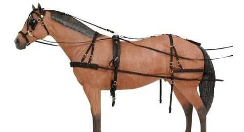 Tough 1 Arnés De Conducción De Nylon De Lujo, Caballo