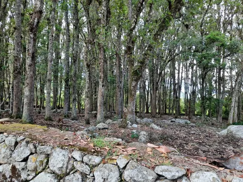 Vendo Espectacular Terreno