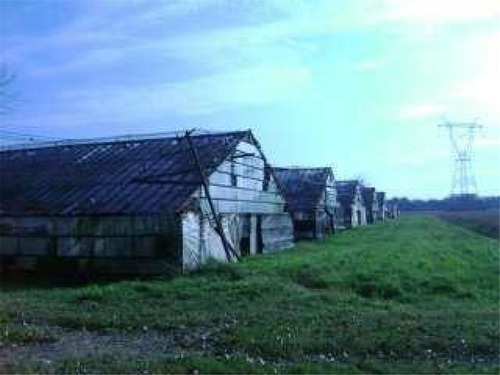 Campo En Venta