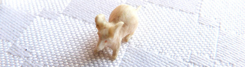 Monijor62-antiguo Talla China Miniaturas Pollito Rata Gallin (Usado)