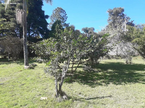 Imagem 11 de 15 de Chácara Para Venda Em Mogi Das Cruzes, Parque Das Varinhas, 3 Dormitórios, 1 Suíte, 3 Banheiros, 10 Vagas - 2341_2-972477