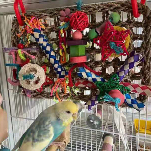 Red De Escalada Para Pájaros, Juguete De Pared, Loros
