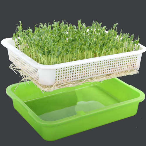 Bandeja Germinadora De Semillas, Bandeja Reutilizable Para