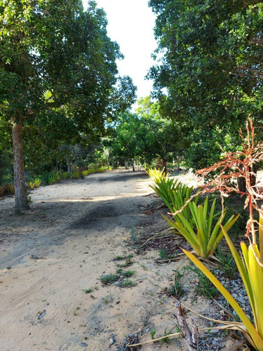 Imagem 13 de 23 de Terreno À Venda Em Arraial D'ajuda - Porto Seguro, Terreno Plano Com Área Limpa Pronta Para Construção, Ponto De Água, Energia, Área De Lazer E Playground