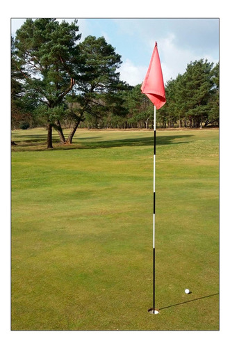 Vinilo Decorativo 50x75cm Golf Deporte Golfista Cesped M4