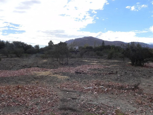 Sitio En Venta En Colina