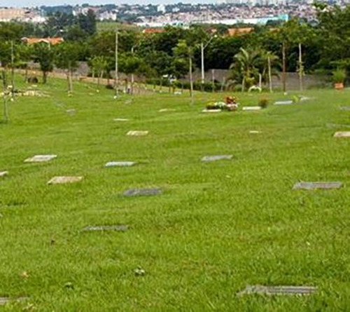 Vendo Jazigo Com 3 Gavetas No Cemitério Parque Dos Flamboyants Campinas - Sp, Quadra Vi, Setor B 79a