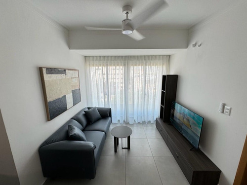 Apartamento Amueblado Nuevo En El Vergel