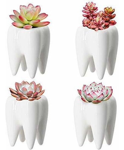 Macetas De Ceramica Para Dientes De Estilo Moderno