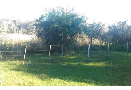 Imagen 7 de 14 de Campo En Gualeguaychú 23,5 Ha Con Playa Natural