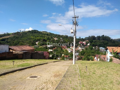 Imagem 6 de 15 de Terreno - Vila Nova - Ref: 18060 - V-18060