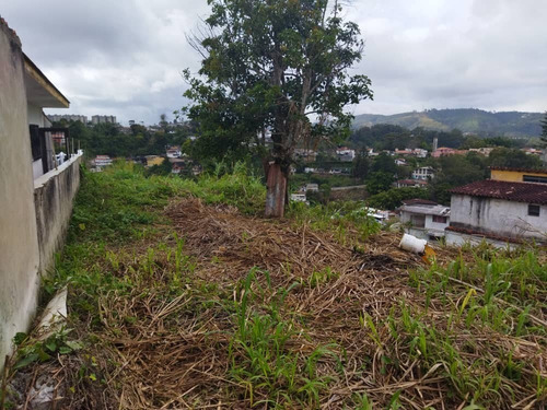 Imagen 4 de 5 de Terreno En Venta En Las Polonias, San Antonio. 04142406660