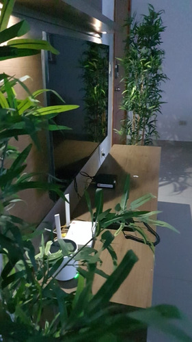 Imagen 3 de 22 de Airbnb Gazcue
