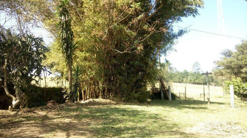 Imagem 14 de 15 de Chácara Para Venda Em Taquara, Santa Cruz Da Concórdia - Jvch011_2-1266711