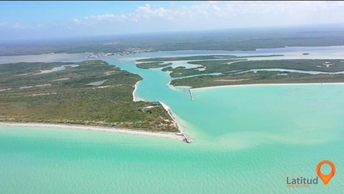 Venta De Terreno A Pie De Playa En Rio Lagartos, Excelente Oportunidad!