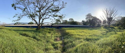 Imagen 13 de 15 de Rp Vende Finca Granja Avícola, Miranda, Estado Carabobo Rp 185.862
