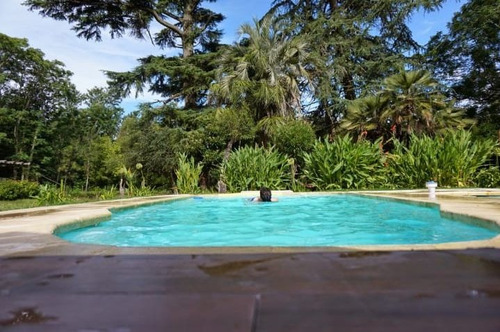 Chacra Con Bosque Natural De 23 Hás. Piscina San José Venta