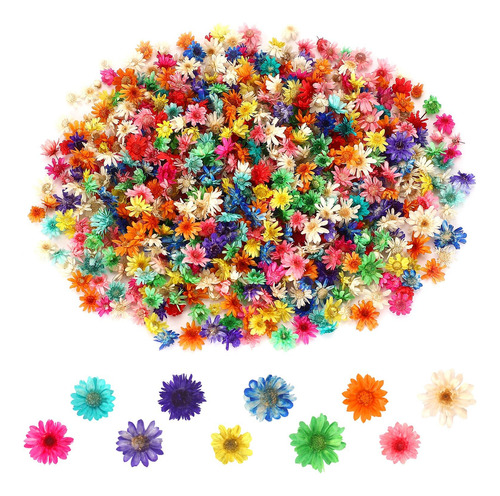 Flores Secas Pequeñas 420 Piezas Para Manualidades Y Uñas