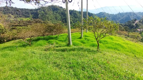 Deja Que El Campo Trabaje Para Ti : Finca En Quipile