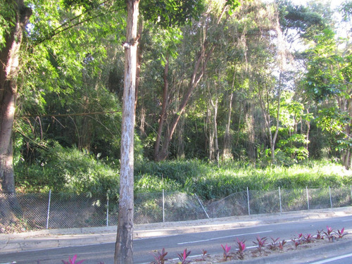 Terreno En Venta Comercial En Los Naranjos