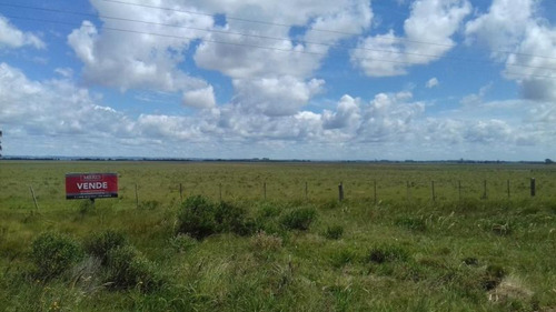 Campo En Venta En Rocha 20ha (ref: Atm-5568)