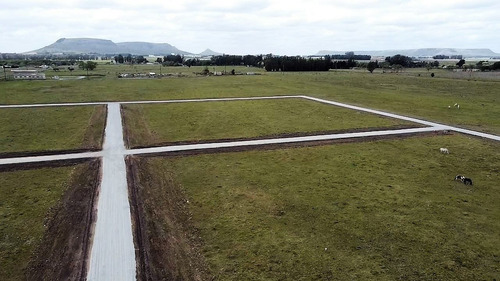 Imagen 3 de 10 de Terreno En Venta En Las Acacias