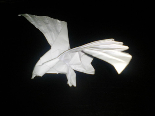 Origami De Águila