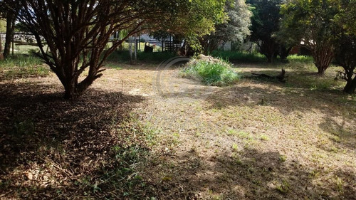 Chácara À Venda Em Chácara Primavera - Ch034315