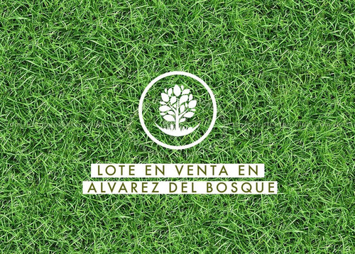 Terreno En Venta En Álvarez Del Bosque