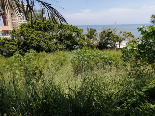 Terreno En Venta En Veracruz En Boulevard Ávila Camacho Fracc. Costa De Oro.