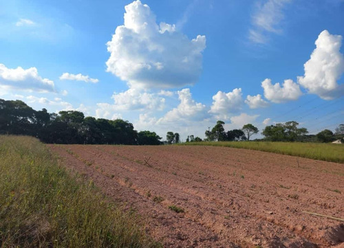 Imagem 10 de 30 de 20o Terreno A Venda Para Investimento