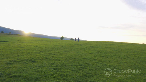 Campo En Arrendamiento - Artigas