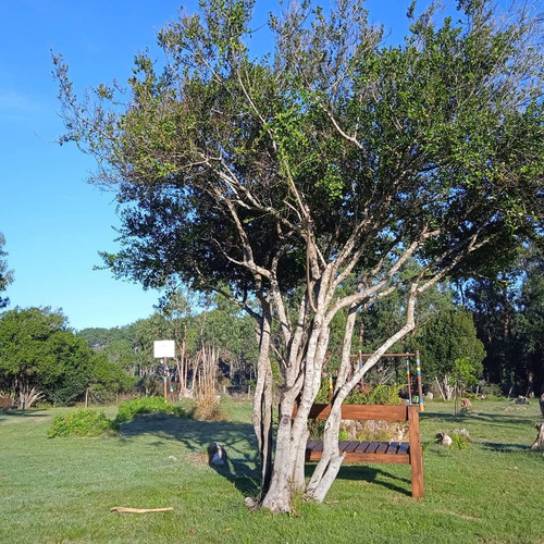 Casa Nueva, Rodeada De Naturaleza, En Diamante De La Pedrera