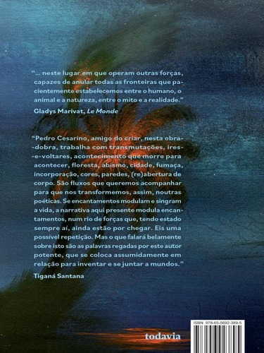 A Repetição, De Cesarino, Pedro. Editora Todavia Editora, Capa Mole Em Português