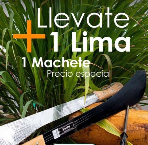 Machete Gavilán De 22 . 3 Canales. Con Lima Gratis!!