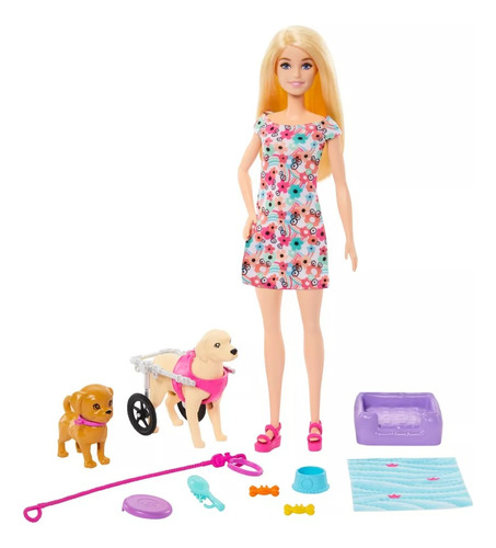 Barbie Set De Juego Paseo De Perrito Con Silla De Ruedas