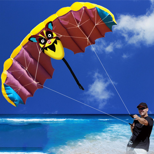 Frameless Kite Com 30m Kites String Flying Kites Parafoil