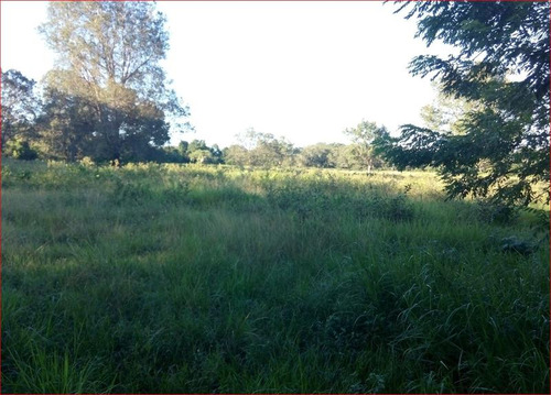 Venta Terreno 36,718 M² Frente A Playa De Tamiahua Veracruz