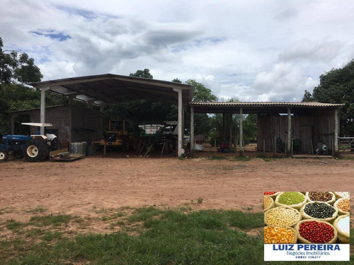 Imagem 7 de 8 de Fazenda À Venda Em Camapuã - Ms - De 865 Hectares (pecuária) - 1674