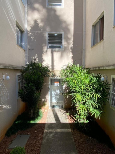 Imagem 14 de 15 de Apartamento - Paqueta - Ref: 49663 - V-49663