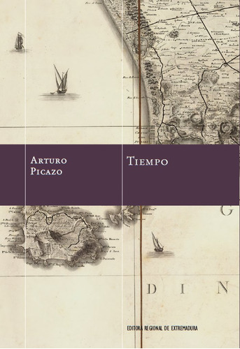 Libro Tiempo - Picazo, Arturo