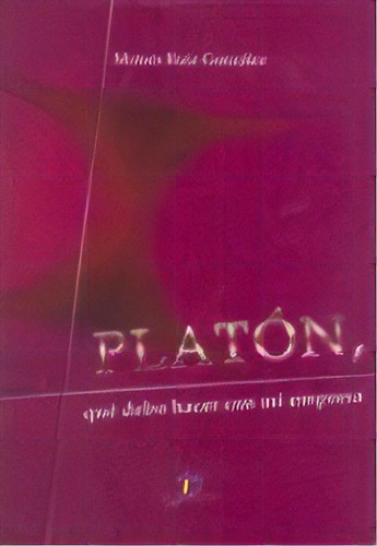 Platon  Que Debo Hacer Con Mi Empresa, De Moises Ruiz Gonzalez. Editorial Diaz De Santos, Tapa Blanda, Edición 2005 En Español