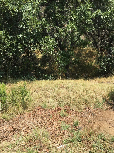 Venta De Terreno En Boulevard Bosque Real, Huixquilucan, Tvi1020