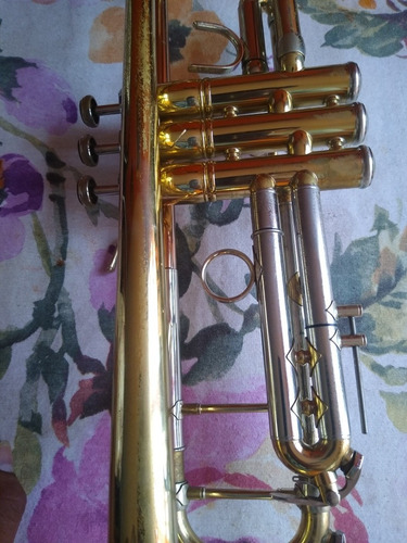Wisemann (Usado)