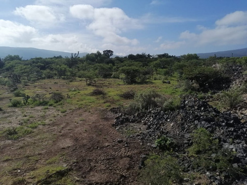 Imagen 19 de 21 de Venta De Terreno En Huichapan Escriturado