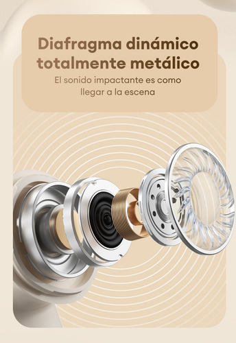 Auriculares Bluetooth Inalámbricos Fcc Lenovo Lp19 - Blanco